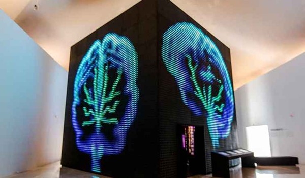 Encephalon, Cubo do Pensamento no Museu do Amanhã